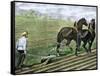 Farmer Plowing Sod with a Team of Horses, c.1800-null-Framed Stretched Canvas