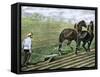 Farmer Plowing Sod with a Team of Horses, c.1800-null-Framed Stretched Canvas