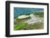 Farmer plowing water filled rice terrace with water buffalo, Longsheng, Guangxi Province, China-Keren Su-Framed Photographic Print