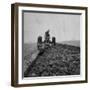 Farmer Plowing with a Tractor on an Iowa Farm-Gordon Parks-Framed Photographic Print