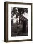 Farmer Pulls Pears from a Tree-Philip Gendreau-Framed Photographic Print