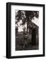 Farmer Pulls Pears from a Tree-Philip Gendreau-Framed Photographic Print