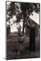 Farmer Pulls Pears from a Tree-Philip Gendreau-Mounted Photographic Print