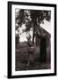 Farmer Pulls Pears from a Tree-Philip Gendreau-Framed Photographic Print