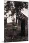 Farmer Pulls Pears from a Tree-Philip Gendreau-Mounted Photographic Print