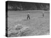 Farmer Raking His Field after Wheat Harvest-null-Stretched Canvas