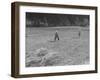 Farmer Raking His Field after Wheat Harvest-null-Framed Photographic Print