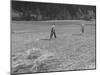 Farmer Raking His Field after Wheat Harvest-null-Mounted Photographic Print