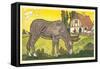 Farmer's Donkey-Hauman-Framed Stretched Canvas