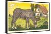 Farmer's Donkey-Hauman-Framed Stretched Canvas