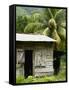 Farmer's Home on a Pineapple Farm, White River, Delices, Dominica, Windward Islands, West Indies, C-Kim Walker-Framed Stretched Canvas