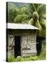 Farmer's Home on a Pineapple Farm, White River, Delices, Dominica, Windward Islands, West Indies, C-Kim Walker-Stretched Canvas