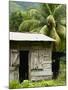 Farmer's Home on a Pineapple Farm, White River, Delices, Dominica, Windward Islands, West Indies, C-Kim Walker-Mounted Photographic Print