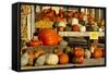 Farmer's Market, Autumn in Luling, Texas, USA-Larry Ditto-Framed Stretched Canvas