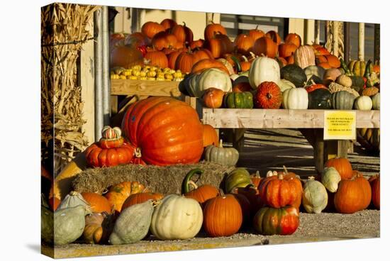 Farmer's Market, Autumn in Luling, Texas, USA-Larry Ditto-Stretched Canvas