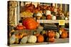 Farmer's Market, Autumn in Luling, Texas, USA-Larry Ditto-Stretched Canvas