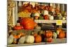 Farmer's Market, Autumn in Luling, Texas, USA-Larry Ditto-Mounted Photographic Print