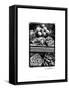 Farmer's Market II-Laura Denardo-Framed Stretched Canvas