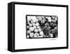 Farmer's Market III-Laura Denardo-Framed Stretched Canvas