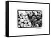 Farmer's Market III-Laura Denardo-Framed Stretched Canvas