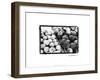 Farmer's Market III-Laura Denardo-Framed Art Print