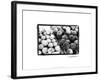 Farmer's Market III-Laura Denardo-Framed Art Print