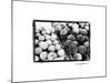 Farmer's Market III-Laura Denardo-Mounted Art Print