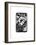 Farmer's Market IV-Laura Denardo-Framed Art Print