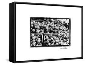 Farmer's Market V-Laura Denardo-Framed Stretched Canvas