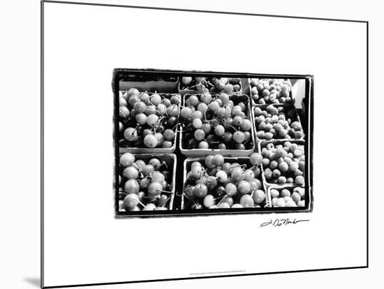 Farmer's Market V-Laura Denardo-Mounted Art Print