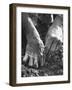 Farmer's Strong, Work Toughened Hands Planting in the Garden-Ed Clark-Framed Photographic Print