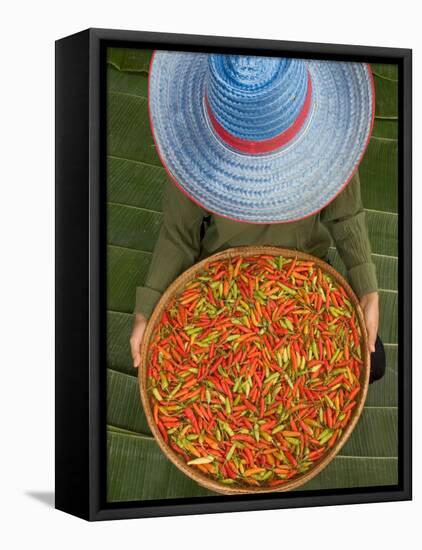 Farmer Selling Chilies, Isan region, Thailand-Gavriel Jecan-Framed Stretched Canvas