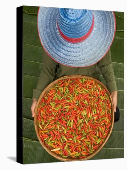 Farmer Selling Chilies, Isan region, Thailand-Gavriel Jecan-Stretched Canvas
