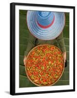 Farmer Selling Chilies, Isan region, Thailand-Gavriel Jecan-Framed Premium Photographic Print