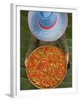 Farmer Selling Chilies, Isan region, Thailand-Gavriel Jecan-Framed Premium Photographic Print