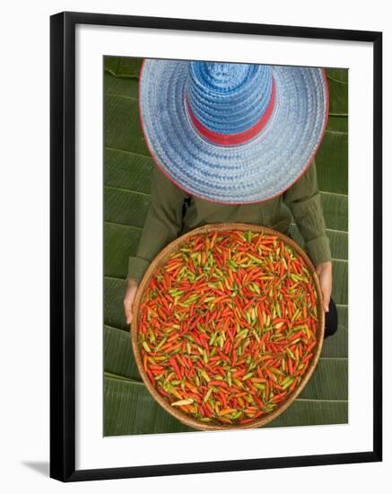 Farmer Selling Chilies, Isan region, Thailand-Gavriel Jecan-Framed Premium Photographic Print