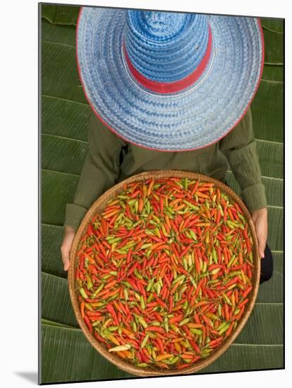 Farmer Selling Chilies, Isan region, Thailand-Gavriel Jecan-Mounted Premium Photographic Print