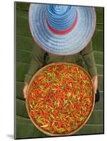 Farmer Selling Chilies, Isan region, Thailand-Gavriel Jecan-Mounted Photographic Print