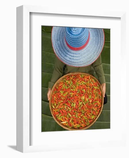 Farmer Selling Chilies, Isan region, Thailand-Gavriel Jecan-Framed Photographic Print