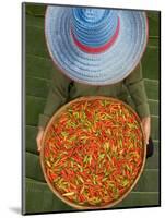 Farmer Selling Chilies, Isan region, Thailand-Gavriel Jecan-Mounted Photographic Print