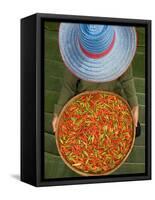 Farmer Selling Chilies, Isan region, Thailand-Gavriel Jecan-Framed Stretched Canvas