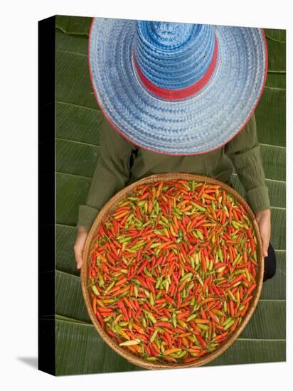 Farmer Selling Chilies, Isan region, Thailand-Gavriel Jecan-Stretched Canvas