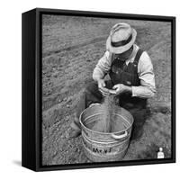Farmer Straining Grain Through His Fingers-Bernard Hoffman-Framed Stretched Canvas