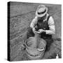 Farmer Straining Grain Through His Fingers-Bernard Hoffman-Stretched Canvas