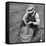 Farmer Straining Grain Through His Fingers-Bernard Hoffman-Framed Stretched Canvas