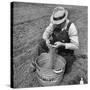 Farmer Straining Grain Through His Fingers-Bernard Hoffman-Stretched Canvas