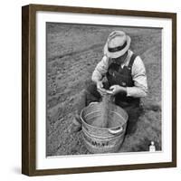 Farmer Straining Grain Through His Fingers-Bernard Hoffman-Framed Photographic Print