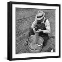 Farmer Straining Grain Through His Fingers-Bernard Hoffman-Framed Photographic Print