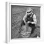 Farmer Straining Grain Through His Fingers-Bernard Hoffman-Framed Photographic Print