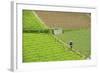 Farmer Surveying His Smallholding in the Fertile Hills of Central Java-Annie Owen-Framed Photographic Print